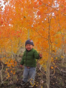 Logan enjoying the Fall foliage along the Loop Road