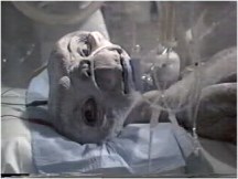 Forunately there's no money in climbing training research, or else this might be me :)