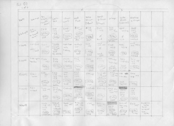 Training Log for the "Beginner Hangboard Workout"