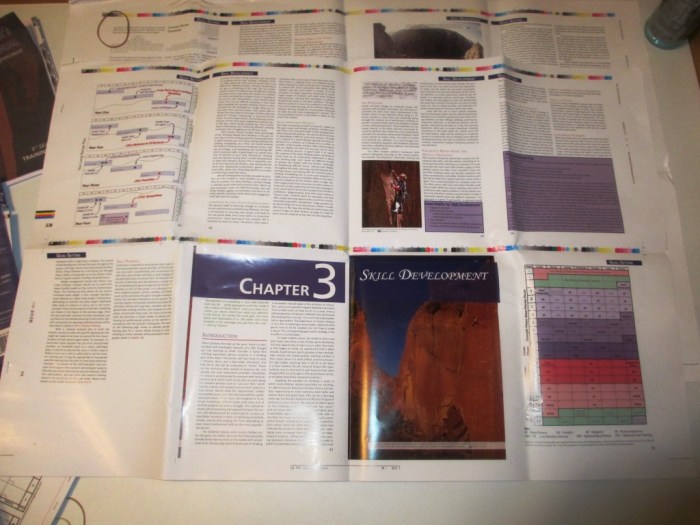 The two large sheets showing the finished look of 16 representative pages.