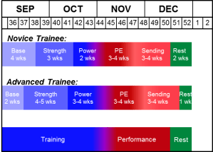 The Rock Prodigy Training Program arranges each training phase as shown.