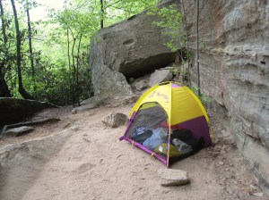 A cheap play tent like this can be very useful, especially when they become ambulatory.