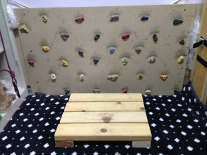 A platform for adjusting height and a kick plate.