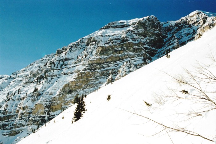 The northern aspect of Mt. Timpanogos