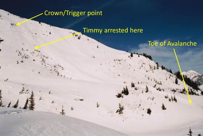 Avalanche Diagram