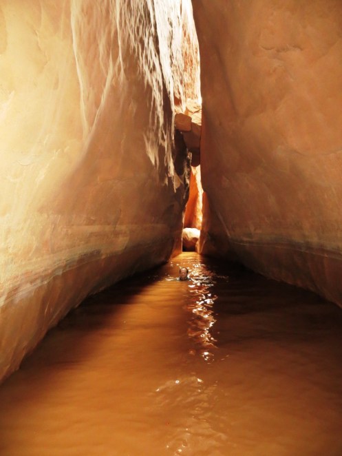 The slot ended with a pair of beautiful swims in a dark chamber.