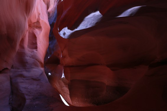 A pretty slot in Larry Canyon, in the "Robber's Roost" region.