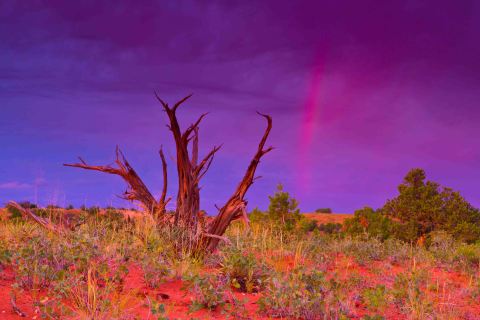 A rare sunrise rainbow!