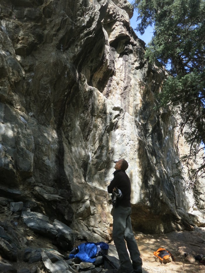 The Primo Wall, looking up at Prime Time...