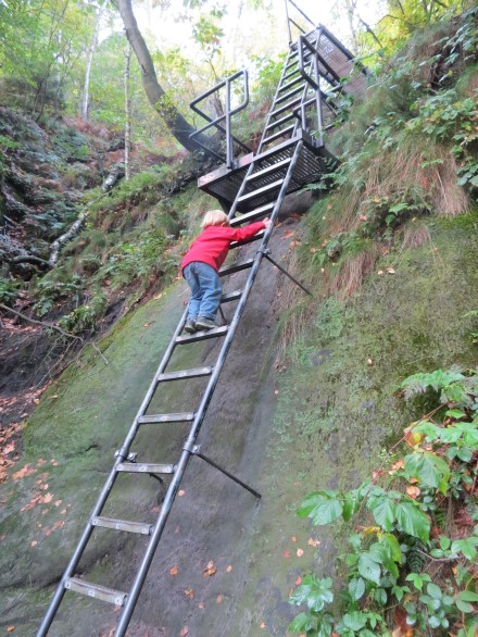 Logan negotiating one of many ladders on the hike to Schrammsteinaussicht.