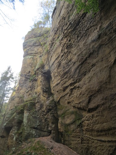 Kentucky or Saxony?  Hint: if this were Kentucky, the wall would be covered in fixed draws :)