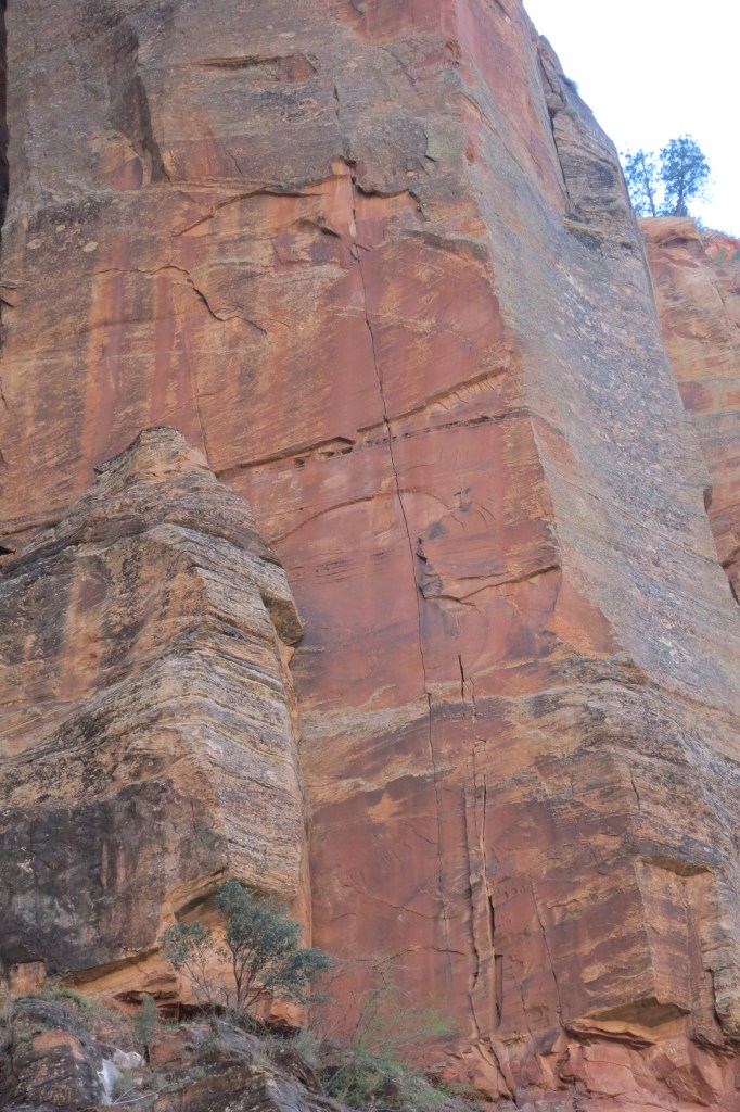 Pitch 2 of "Rub it Raw" - a gorgeous splitter finger crack that ranges from #2 TCU to #1 for most of the way. It pinches down tighter for a technical crux right near the end!