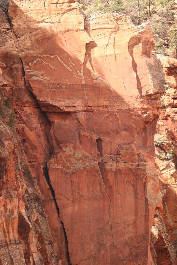 Pitch 5 of Rub it Raw - Another striking splitter, that is slightly offset and varied in size. The crux pinches down to tips, and requires bold climbing above nuts ~ always an exciting proposition in Zion's soft rock.