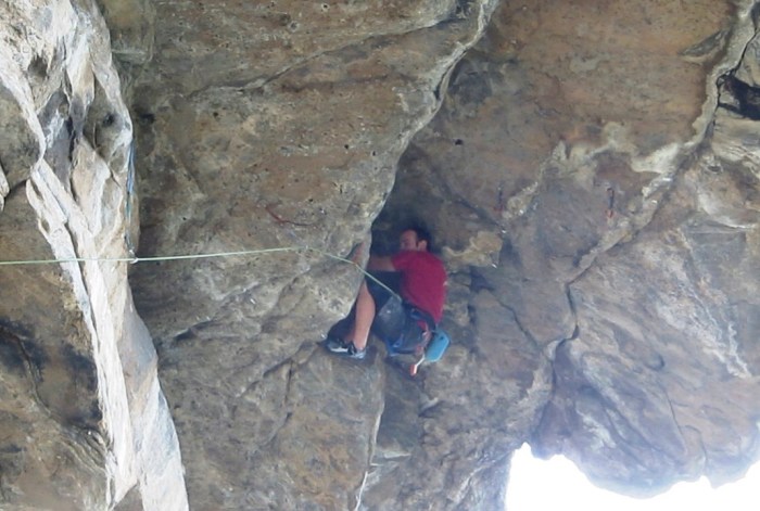 An awkward stance in the crook of the visor.