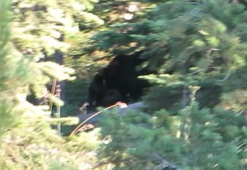 If the last pic didn't convince you, surely this one will!