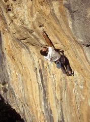 Paret de les Bruixes Millenium