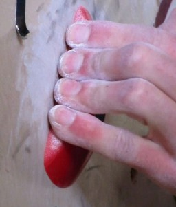 Hold #3 with a hand for scale.