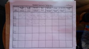 These are examples of Hangboard Maintenance training sessions.