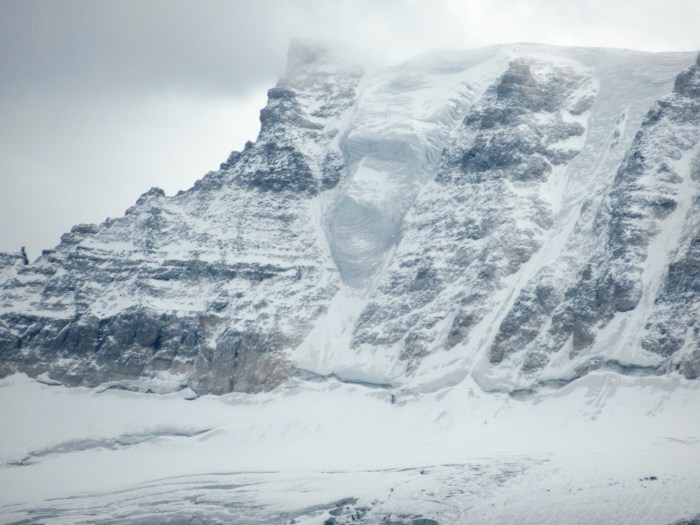 IMG_3414 Mt Fay Gorilla