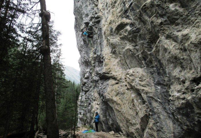 IMG_3587 Wheres Mom_a.JPG